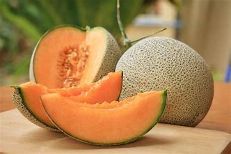 Musk Melon